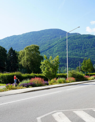 Avenue des Chasseurs Alpins Albertville