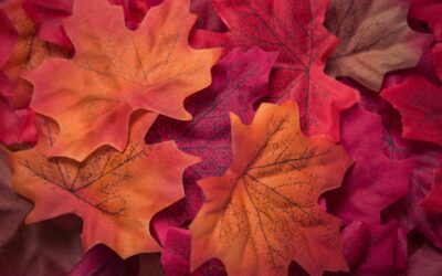 Le foire d&rsquo;Automne est de retour