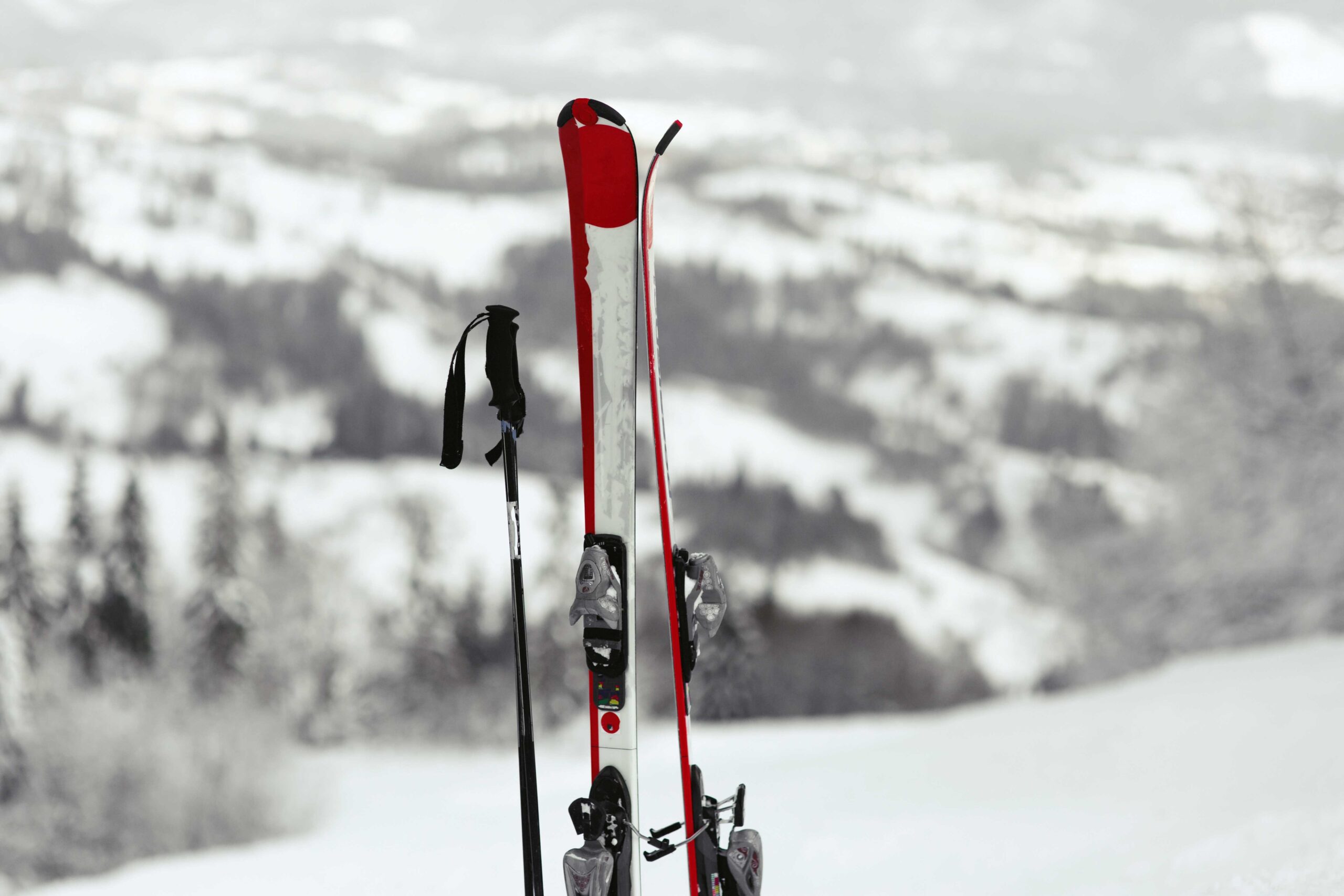 Bourses aux skis,