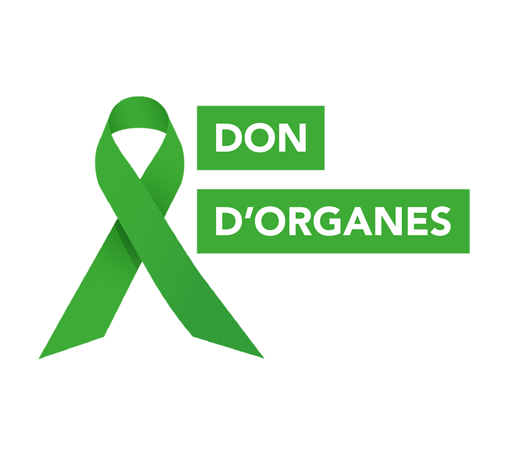 Albertville don organes