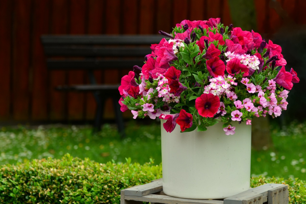 Concours des balcons et jardins fleuris