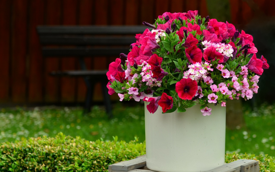 Concours des balcons et jardins fleuris