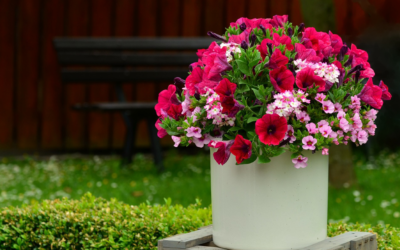 Concours des balcons et jardins fleuris