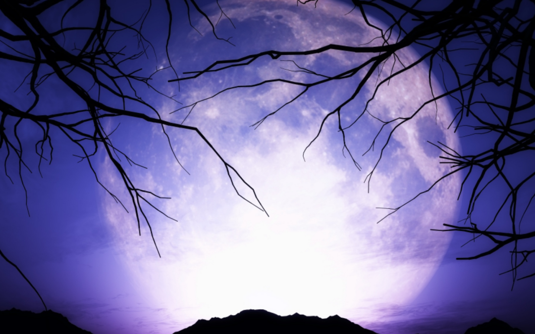 Vacances d’automne : activités enfance/jeunesse