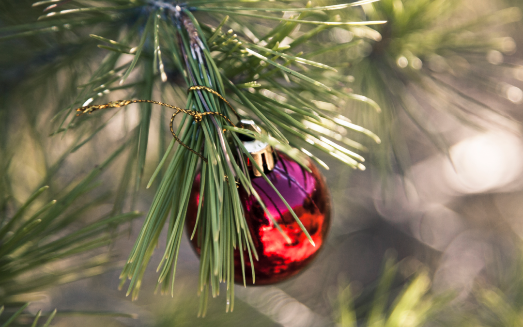 Collecte des sapins de Noël