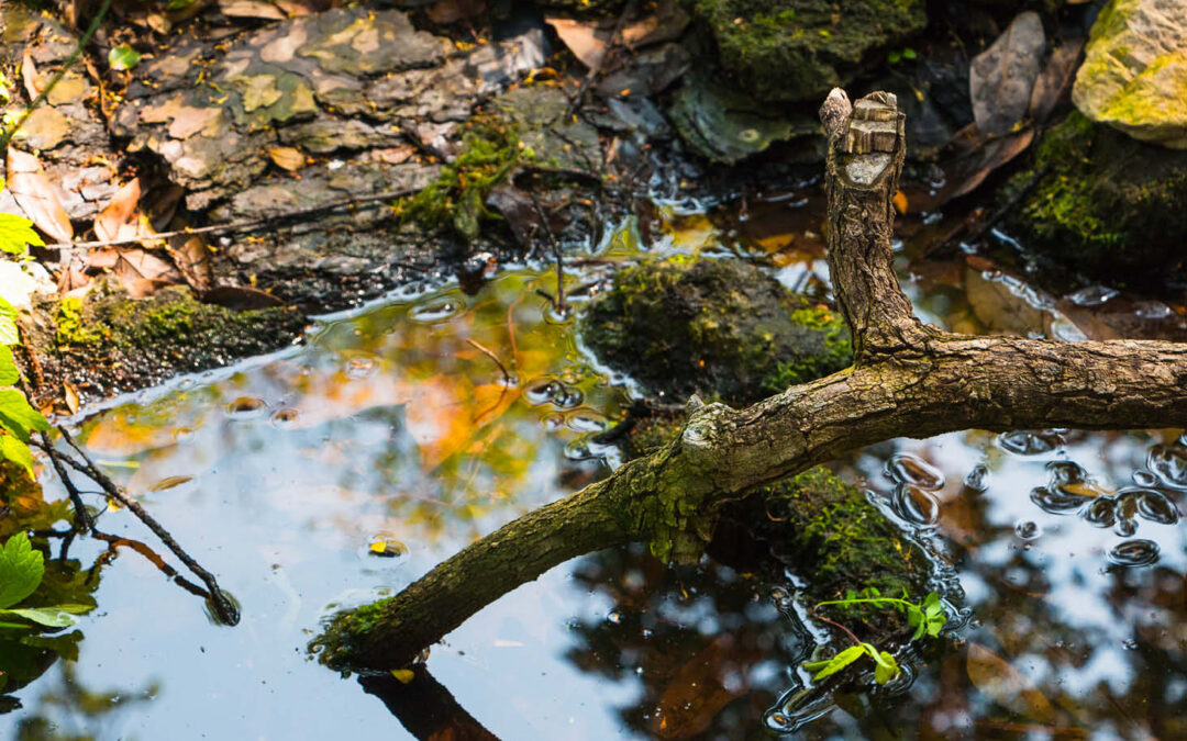 Entretien des cours d&rsquo;eau