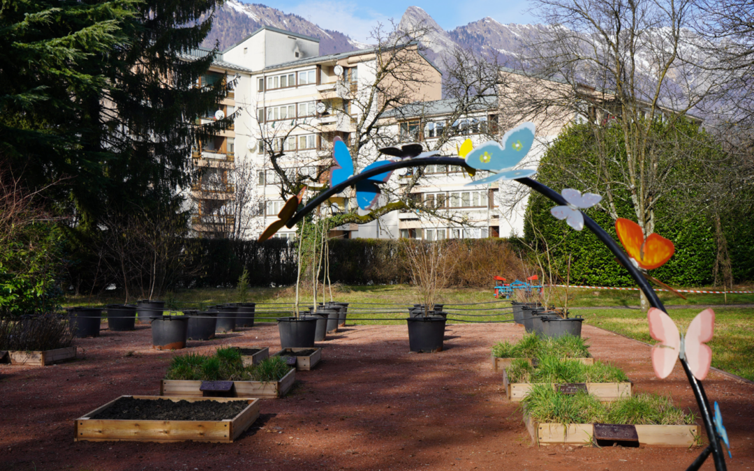 Anticiper les allergies grâce au pollinarium