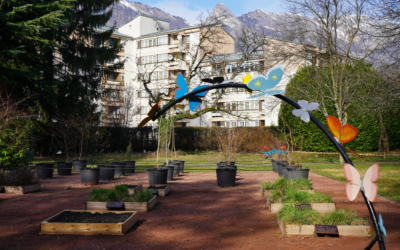 Anticiper les allergies grâce au pollinarium