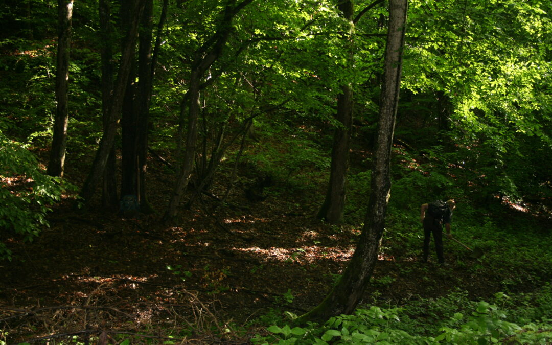 Valoriser les services rendus par la forêt