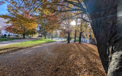 Inventorier les arbres