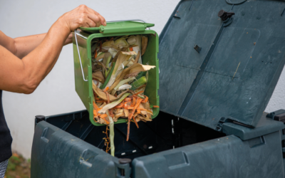 Composteurs et lombricomposteurs gratuits : passez au compostage !